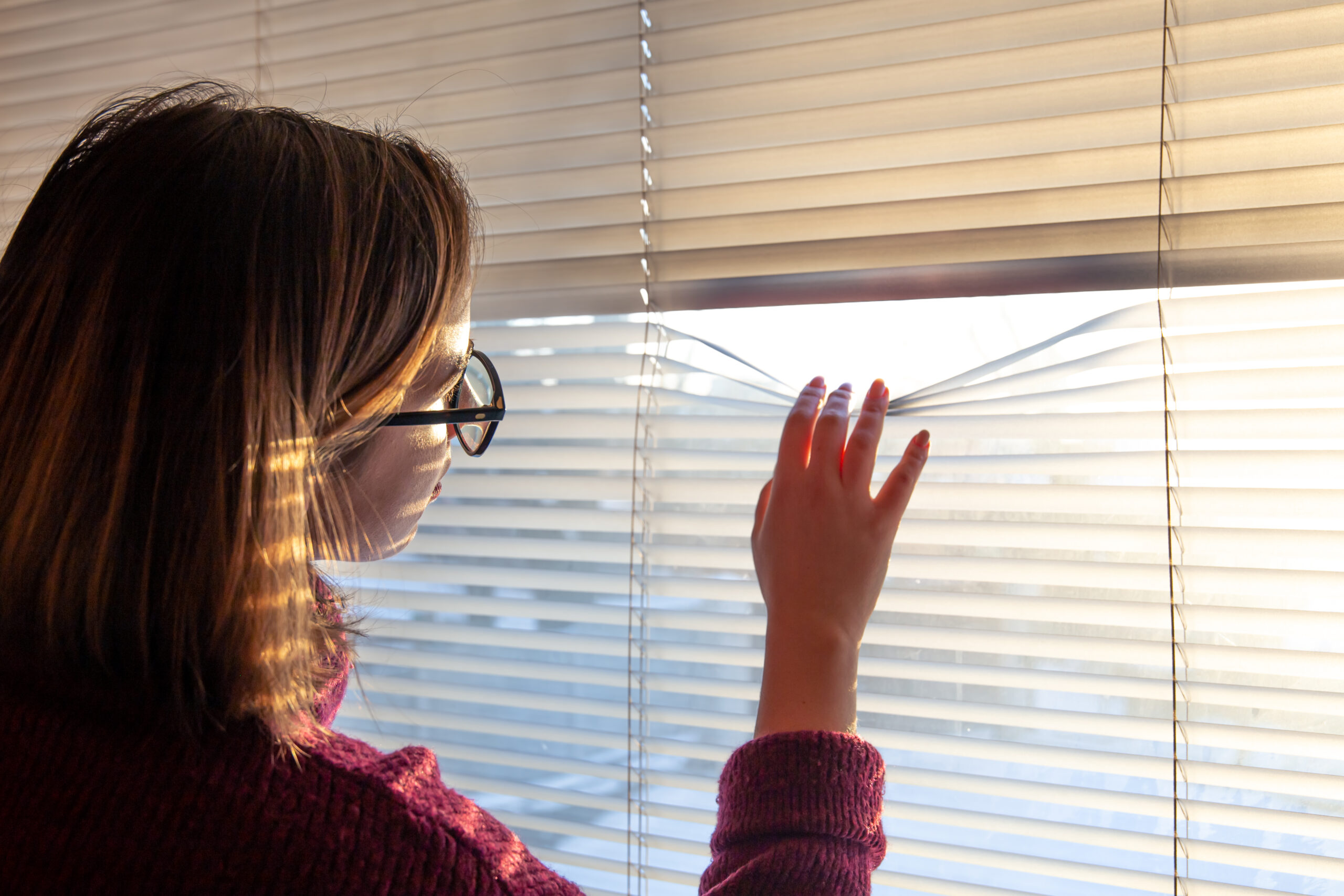 How to clean Zebra Blinds?