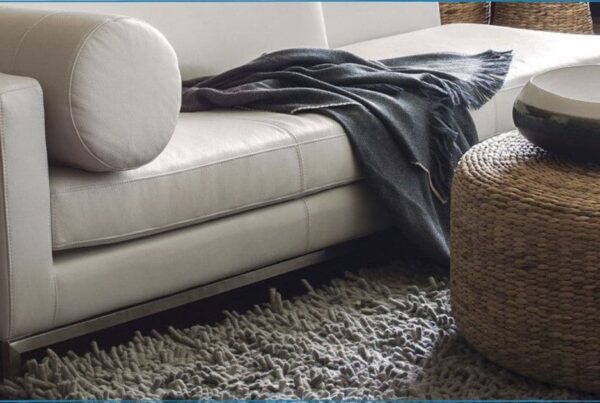 Do Carpet Cleaning Companies Move Furniture