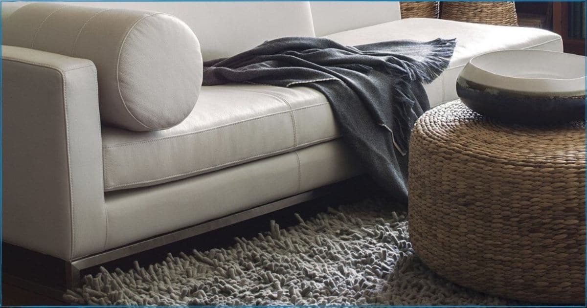 Do Carpet Cleaning Companies Move Furniture?
