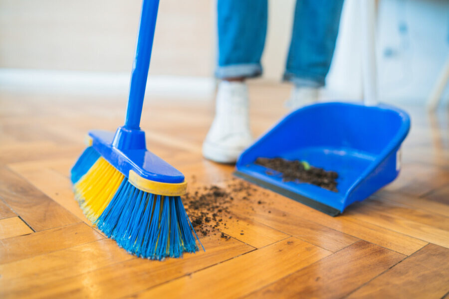 How to Choose a House Cleaner in Langley?