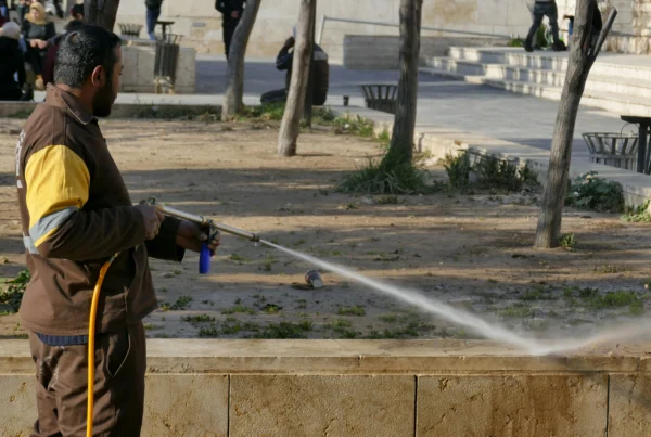 Can You Clean an Area Rug With a Pressure Washer