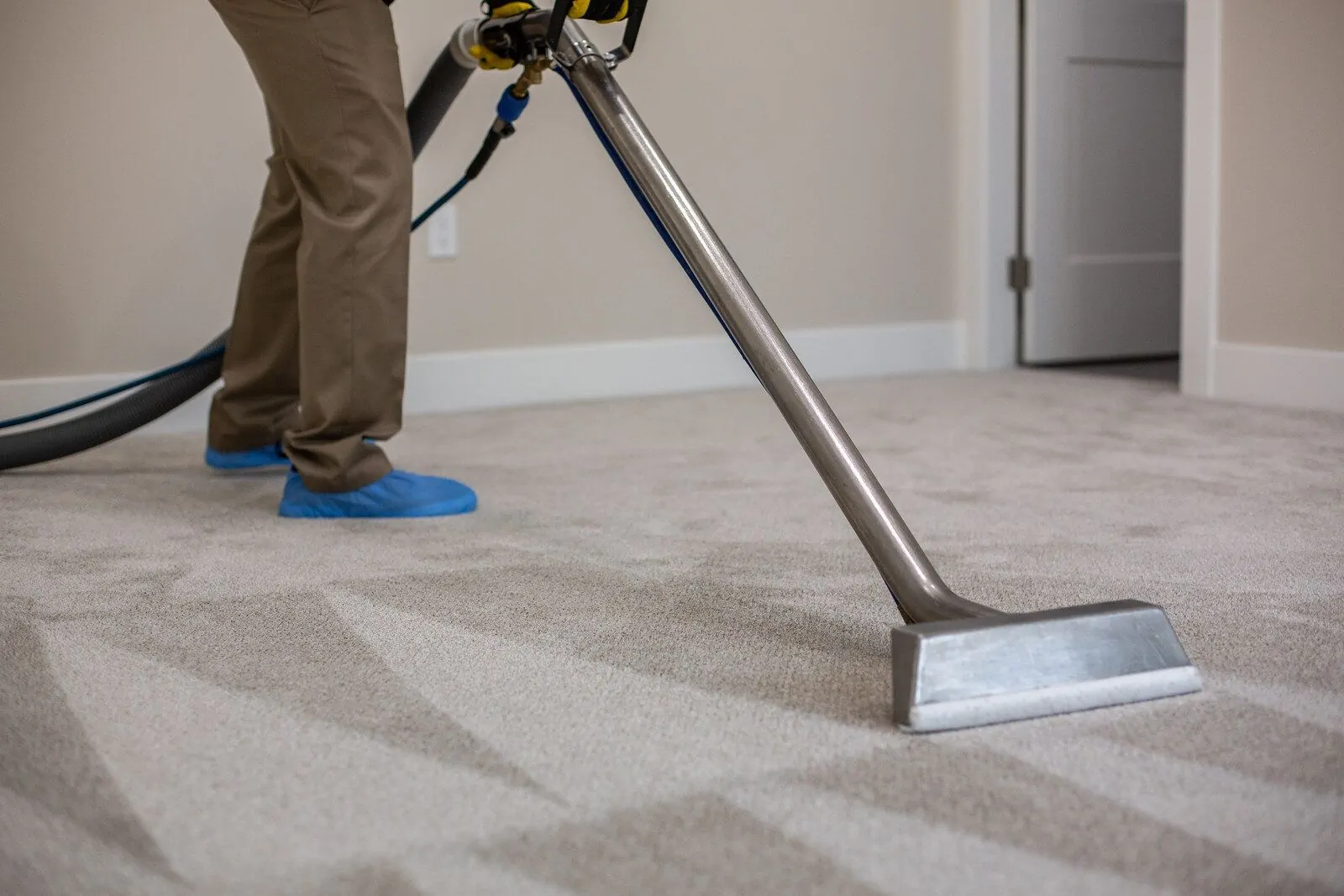 How Much Does It Cost to Clean Carpet in Abbotsford?