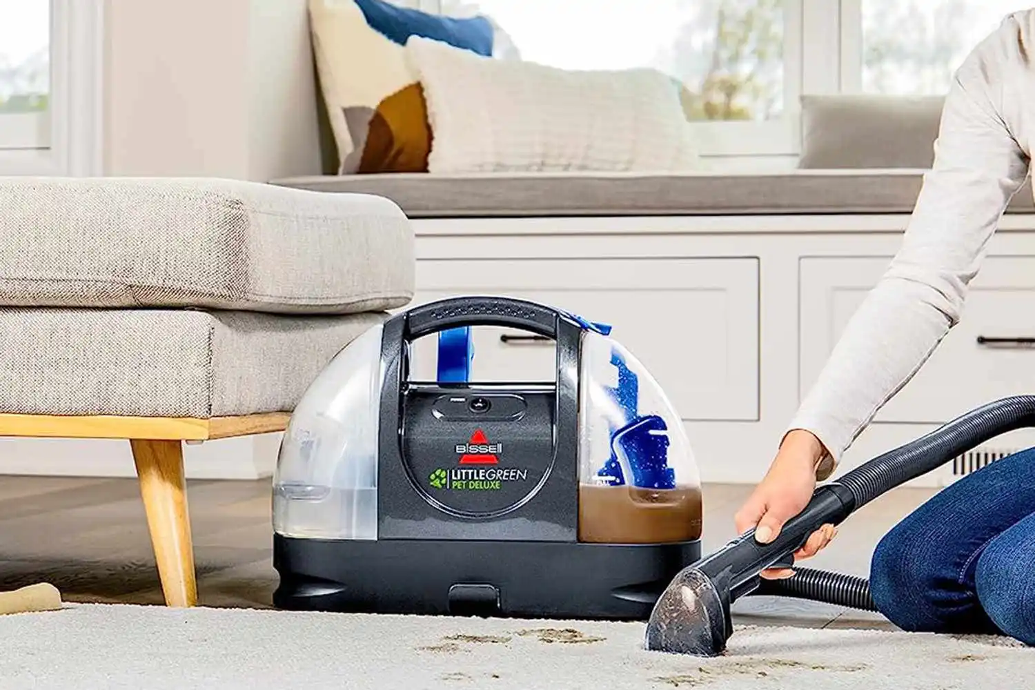 Where to Hire a Carpet Cleaner
