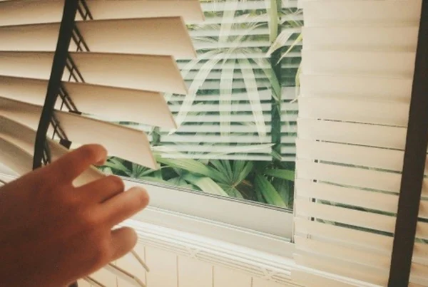 How to Clean Cloth Window Blinds