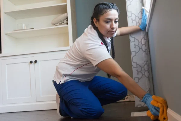 How Much Is a Maid Service Once a Week