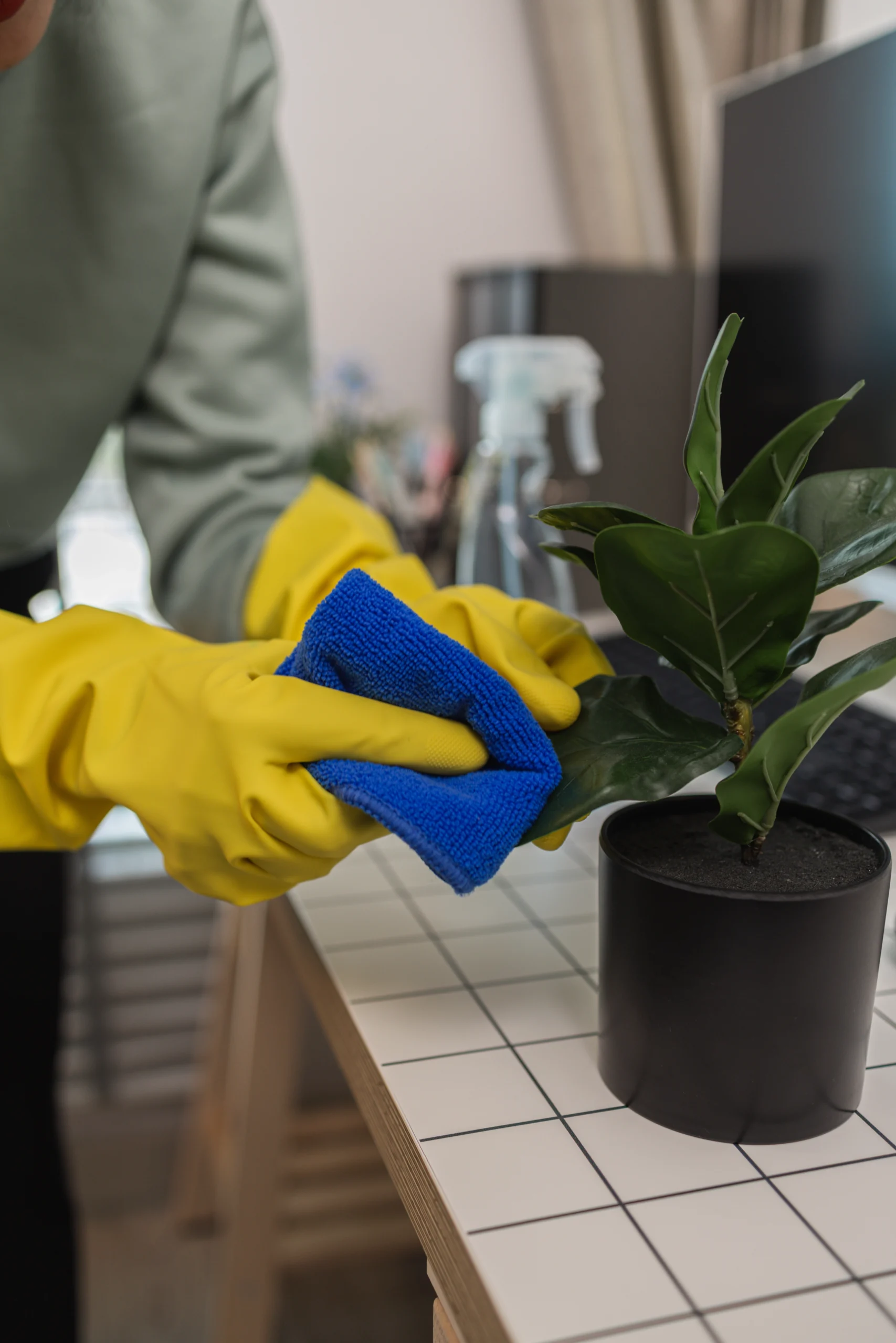 How Often Should You Schedule Maid Service