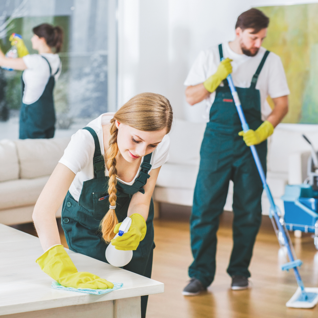 Non-Toxic House Cleaning