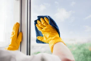 What Is the Best WindownCleaning Solution