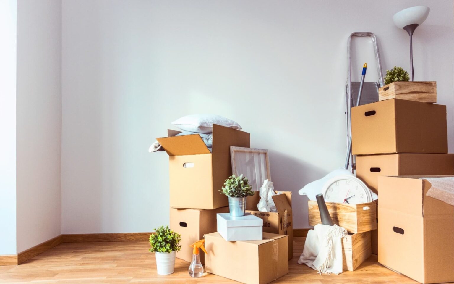 Super Clean Move In Expert Cleaning Services for Homes & Offices | ProClean