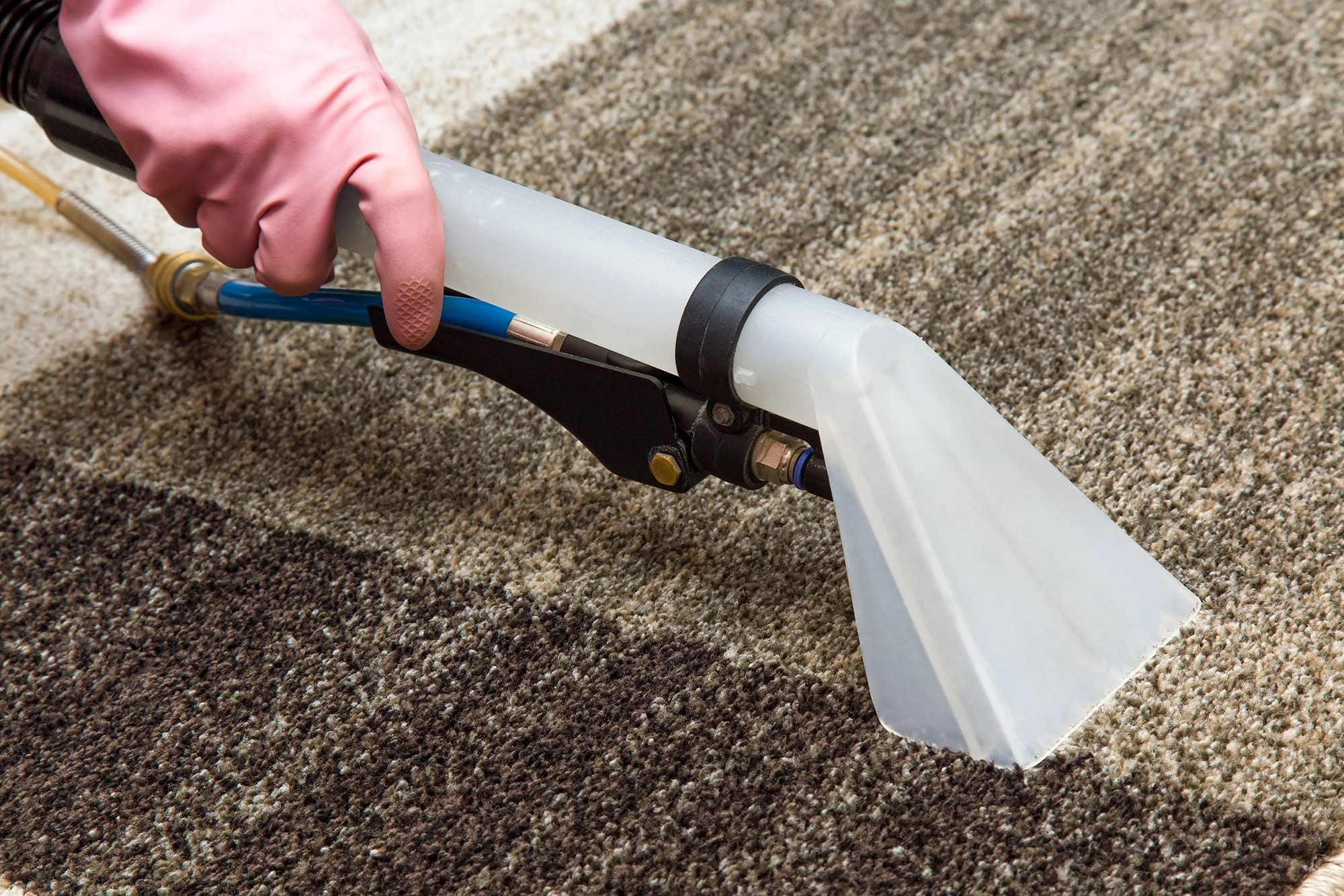 Does Carpet Cleaning Cause Mold
