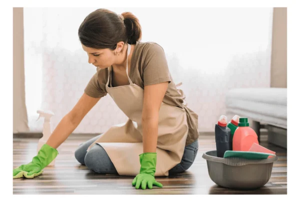 What Cleaning Products Do Maids Use