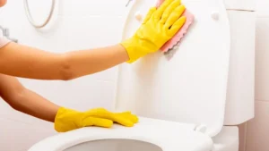 What Do Maids Use to Clean Bathrooms