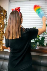 House Cleaning Langley