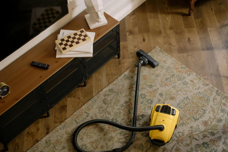 How Much Does Professional Carpet Cleaning Cost